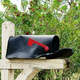 Image for article titled Mailbox Hall Of Shame: Readers Regale Us With Love, Lube, & Legal Troubles